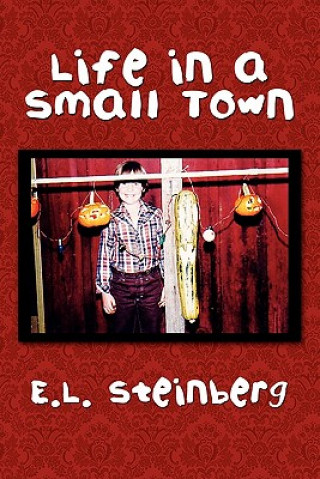 Kniha Life in a Small Town E L Steinberg