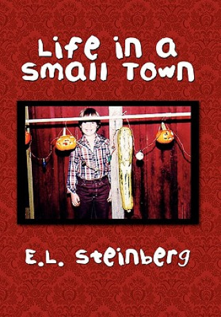 Kniha Life in a Small Town E L Steinberg