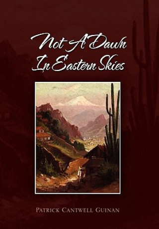 Книга Not a Dawn in Eastern Skies Patrick Cantwell Guinan