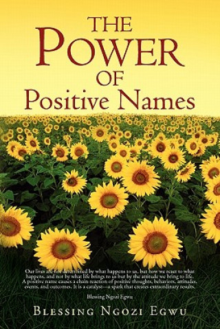 Kniha Power of Positive Names Blessing Ngozi Egwu