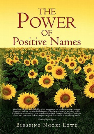 Kniha Power of Positive Names Blessing Ngozi Egwu