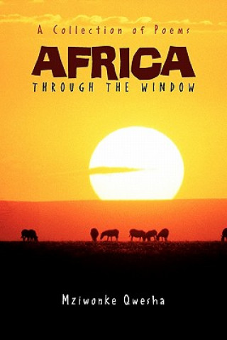 Książka Africa Mziwonke Qwesha