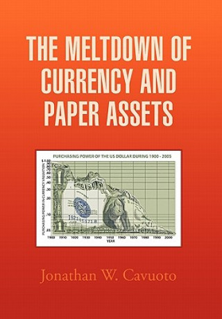 Kniha Meltdown of Currency and Paper Assets Jonathan W Cavuoto
