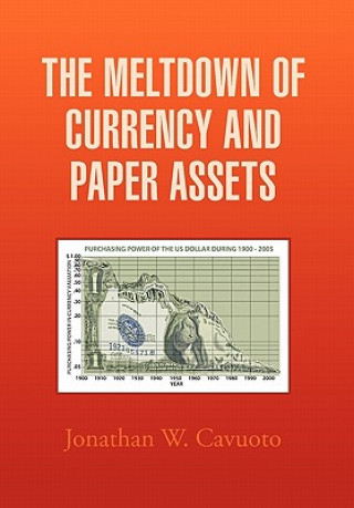 Libro Meltdown of Currency and Paper Assets Jonathan W Cavuoto