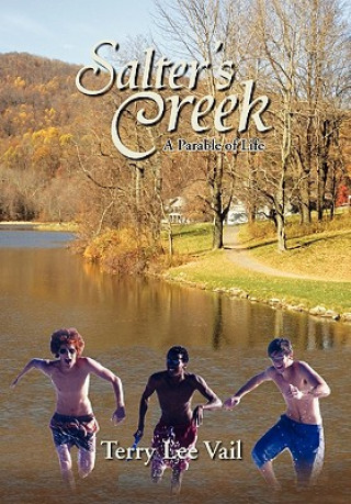 Kniha Salter's Creek Terry Lee Vail