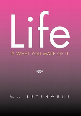 Buch Life Is What You Make of It M J Letshwene