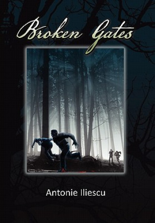 Book Broken Gates Antonie Iliescu