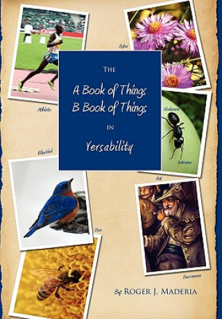 Книга a Book of Things, B Book of Things Roger Maderia