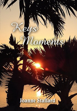 Knjiga Keys Moments Joanne Stallard