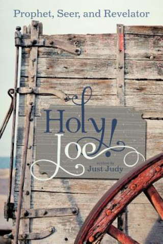 Kniha Holy Joe! Just Judy