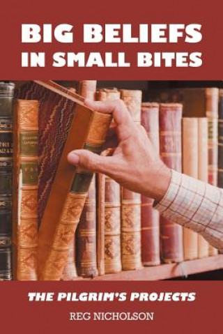 Kniha Big Beliefs in Small Bites Reg Nicholson