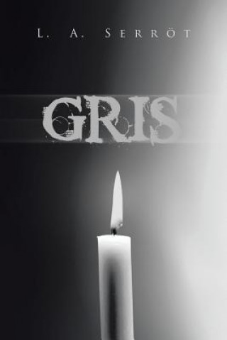 Libro Gris L a Serrot