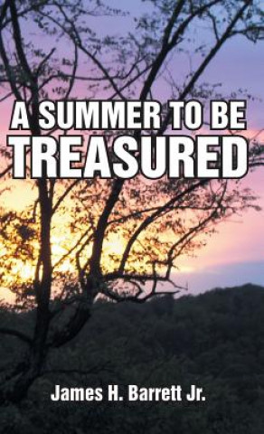 Knjiga Summer to Be Treasured James H Barrett Jr