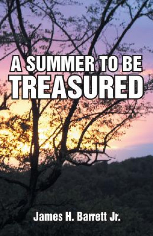 Книга Summer to Be Treasured James H Barrett Jr