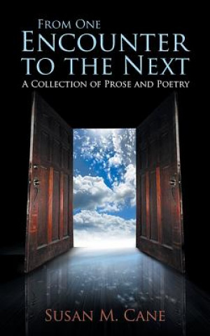 Book From One Encounter to the Next Susan M Cane