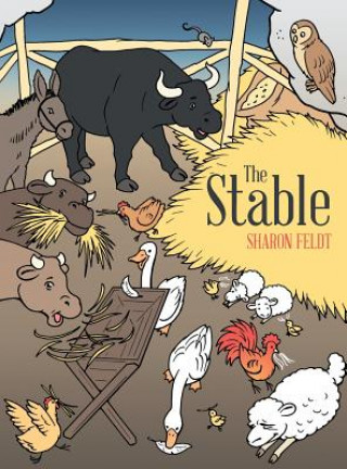 Knjiga Stable Sharon Feldt