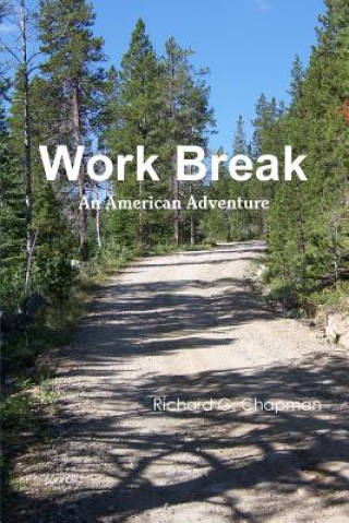 Knjiga Work Break Richard G. Chapman
