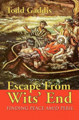 Book Escape from Wits' End Todd Gaddis