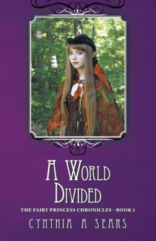 Buch World Divided Cynthia A Sears