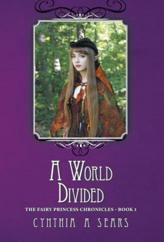 Buch World Divided Cynthia A Sears