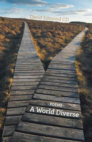 Könyv World Diverse David Edmond CD