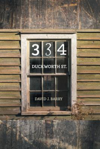 Kniha 334 Duckworth St. David J Barry