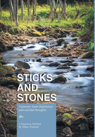 Libro Sticks and Stones - A Journey from Depression and Suicidal Thoughts Hilary Packard