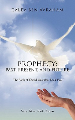 Buch Prophecy Calev Ben Avraham