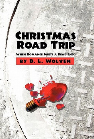 Buch Christmas Road Trip D L Wolven