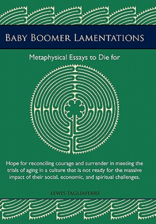 Livre Baby Boomer Lamentations Lewis Tagliaferre