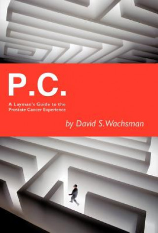 Βιβλίο P.C. David S Wachsman