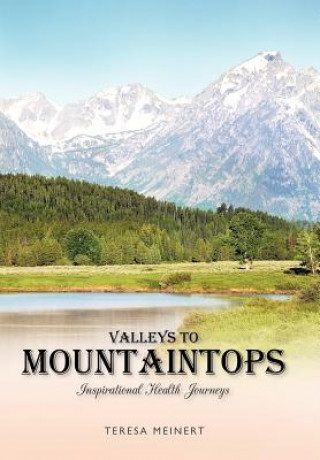 Kniha Valleys to Mountaintops Teresa Meinert