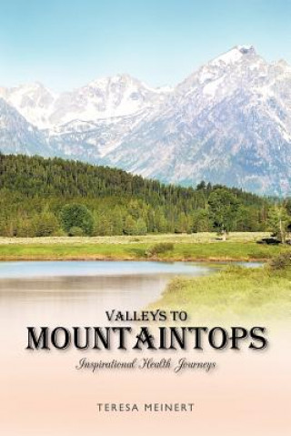 Книга Valleys to Mountaintops Teresa Meinert