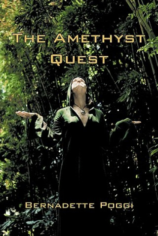 Buch Amethyst Quest Bernadette Poggi