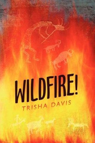 Buch Wildfire! Trisha Davis