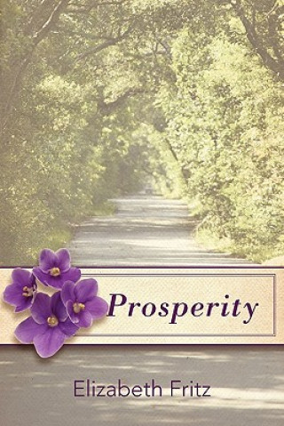 Kniha Prosperity Elizabeth Fritz