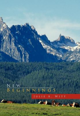 Buch New Beginnings Julie A Witt