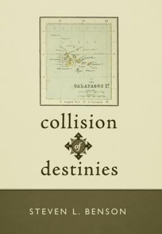 Könyv Collision of Destinies Steven L Benson