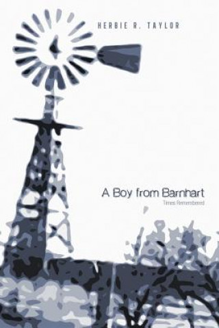 Βιβλίο Boy from Barnhart Herbie R Taylor
