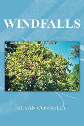 Knjiga Windfalls Susan Connelly