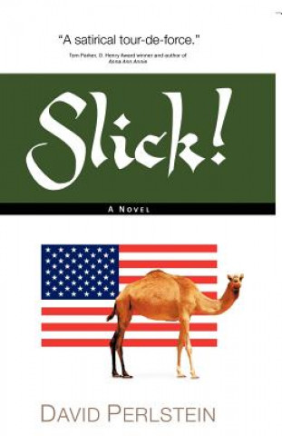 Buch Slick! David Perlstein