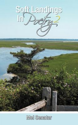 Libro Soft Landings in Poetry 2 Mel Senator