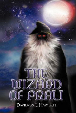 Книга Wizard of Prali Davidson L Haworth