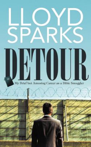 Kniha Detour Lloyd Sparks