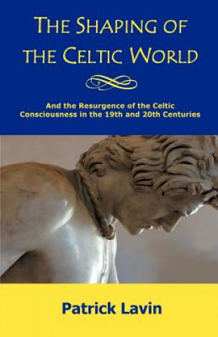 Könyv Shaping of the Celtic World Lavin