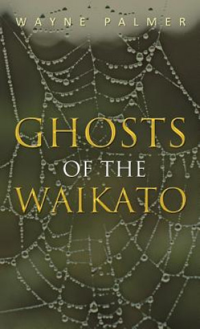 Kniha Ghosts of the Waikato Wayne Palmer