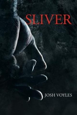 Книга Sliver Josh Voyles