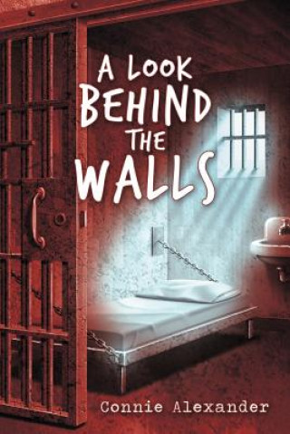 Kniha Look Behind the Walls Connie Alexander