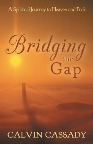 Book Bridging the Gap Calvin Cassady