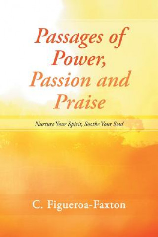 Kniha Passages of Power, Passion and Praise C Figueroa-Faxton